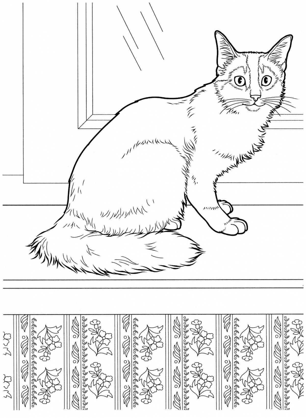 Coloring book determined sitting cat
