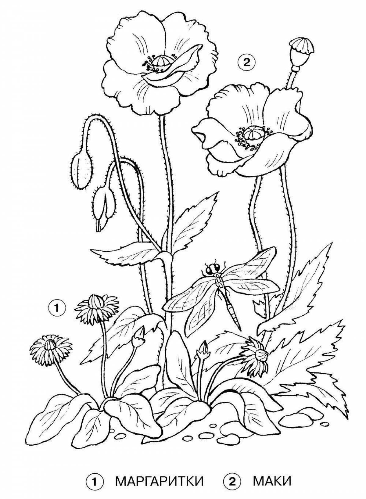 Colourful garden flowers coloring book