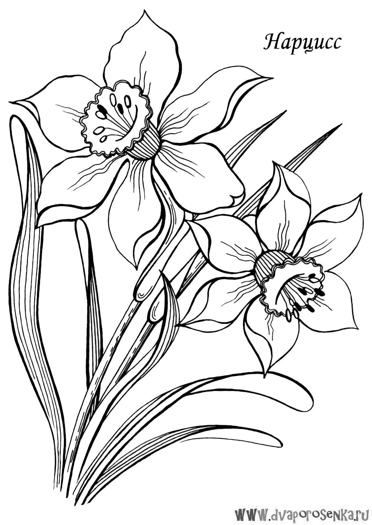 Coloring book joyful garden flowers