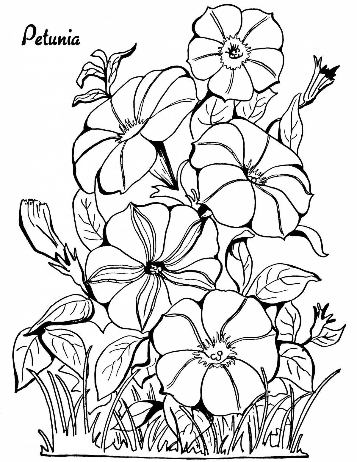 Adorable garden flowers coloring book