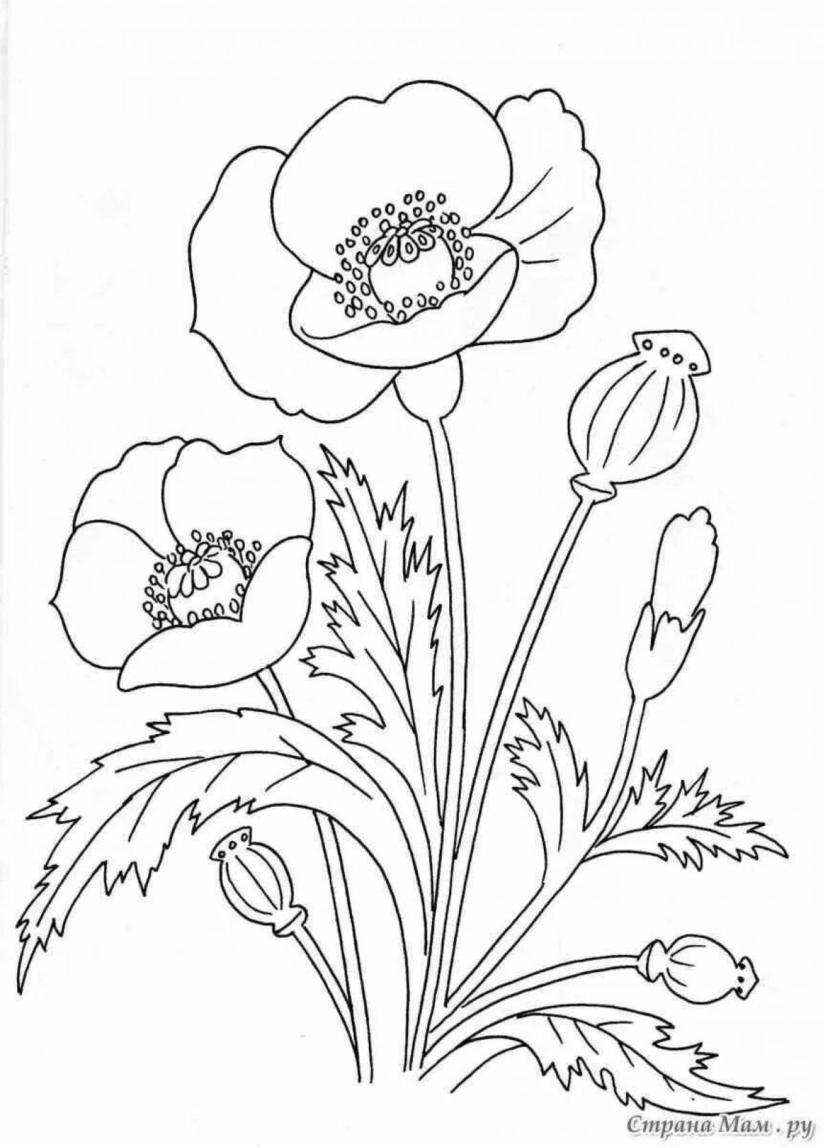Colored garden flowers coloring book