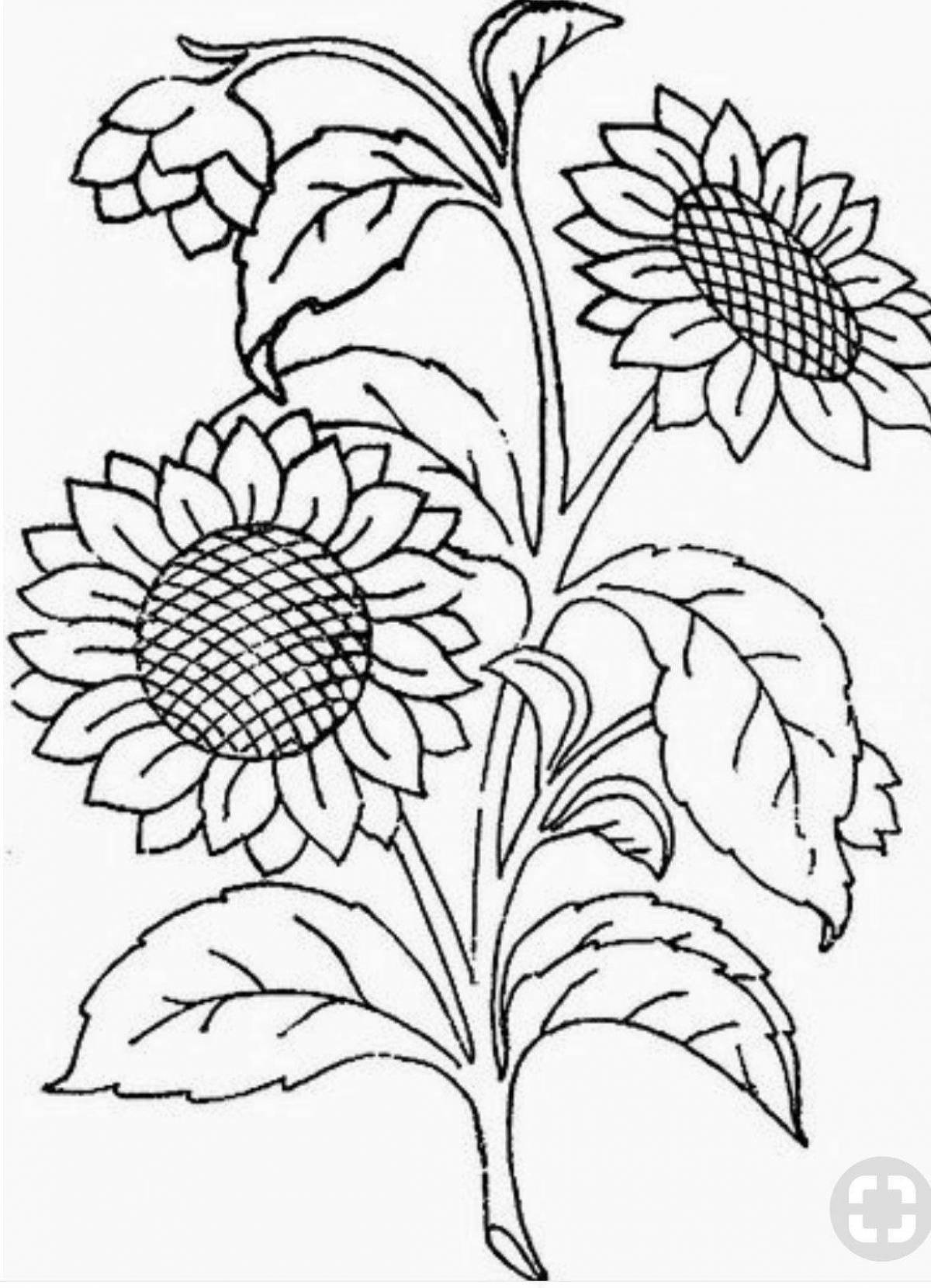 Garden flowers coloring page