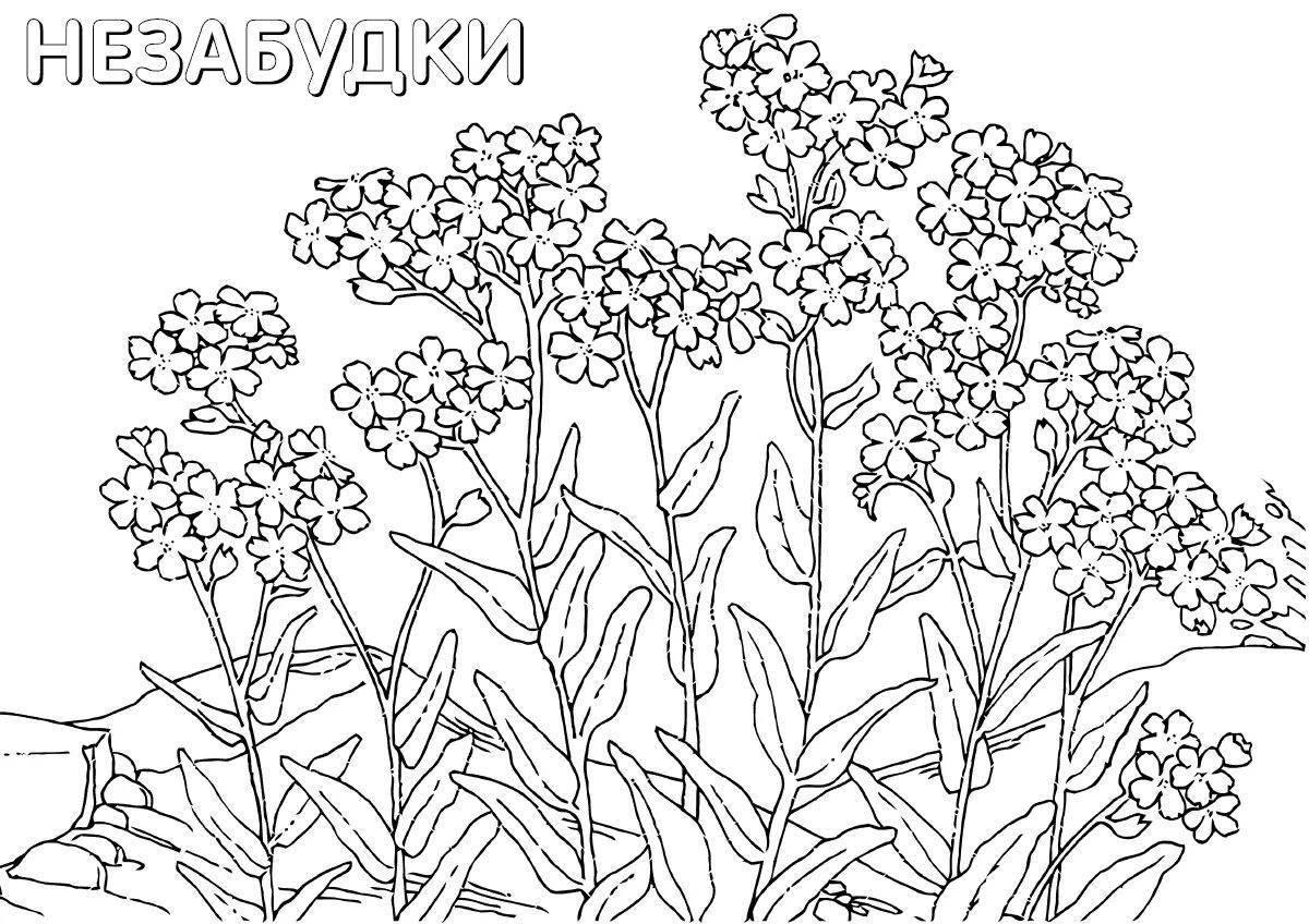 Colored fresh garden flowers coloring book