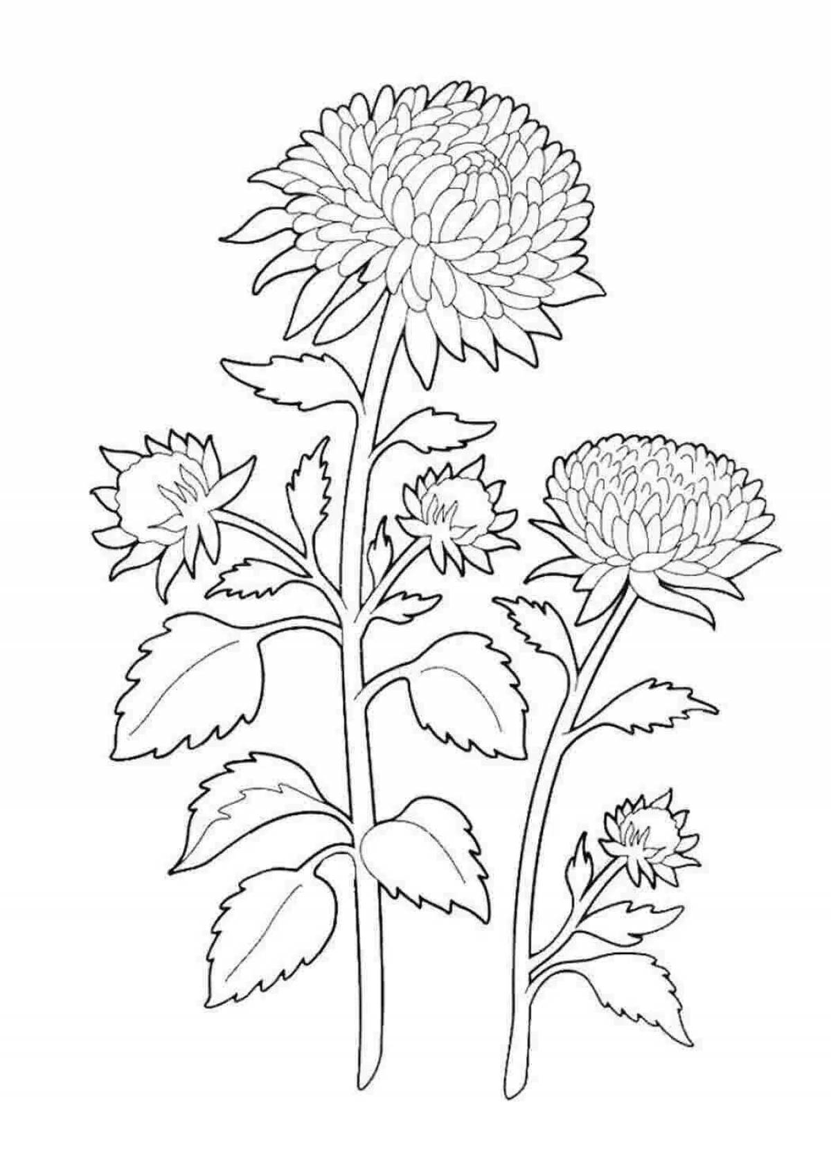 Colorful shiny garden flowers coloring page