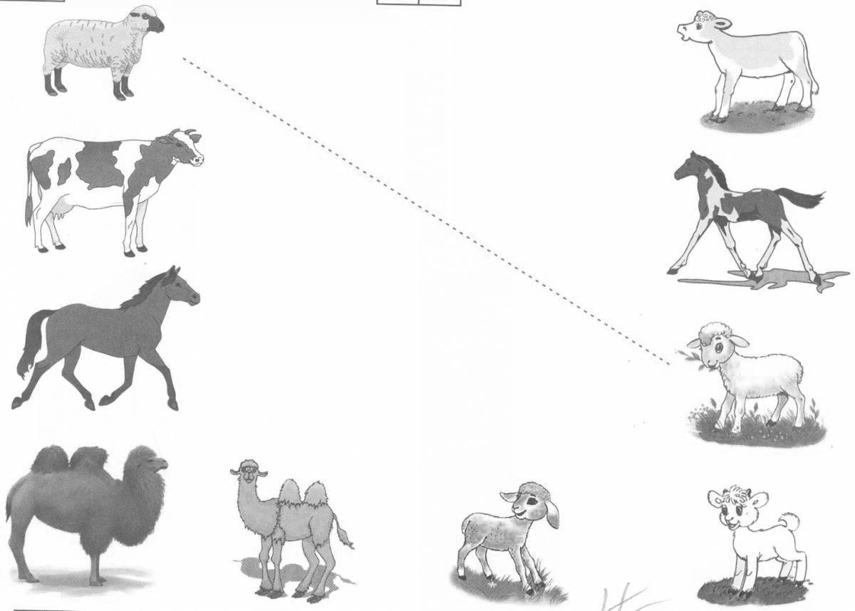 Bewitching januarlar toads