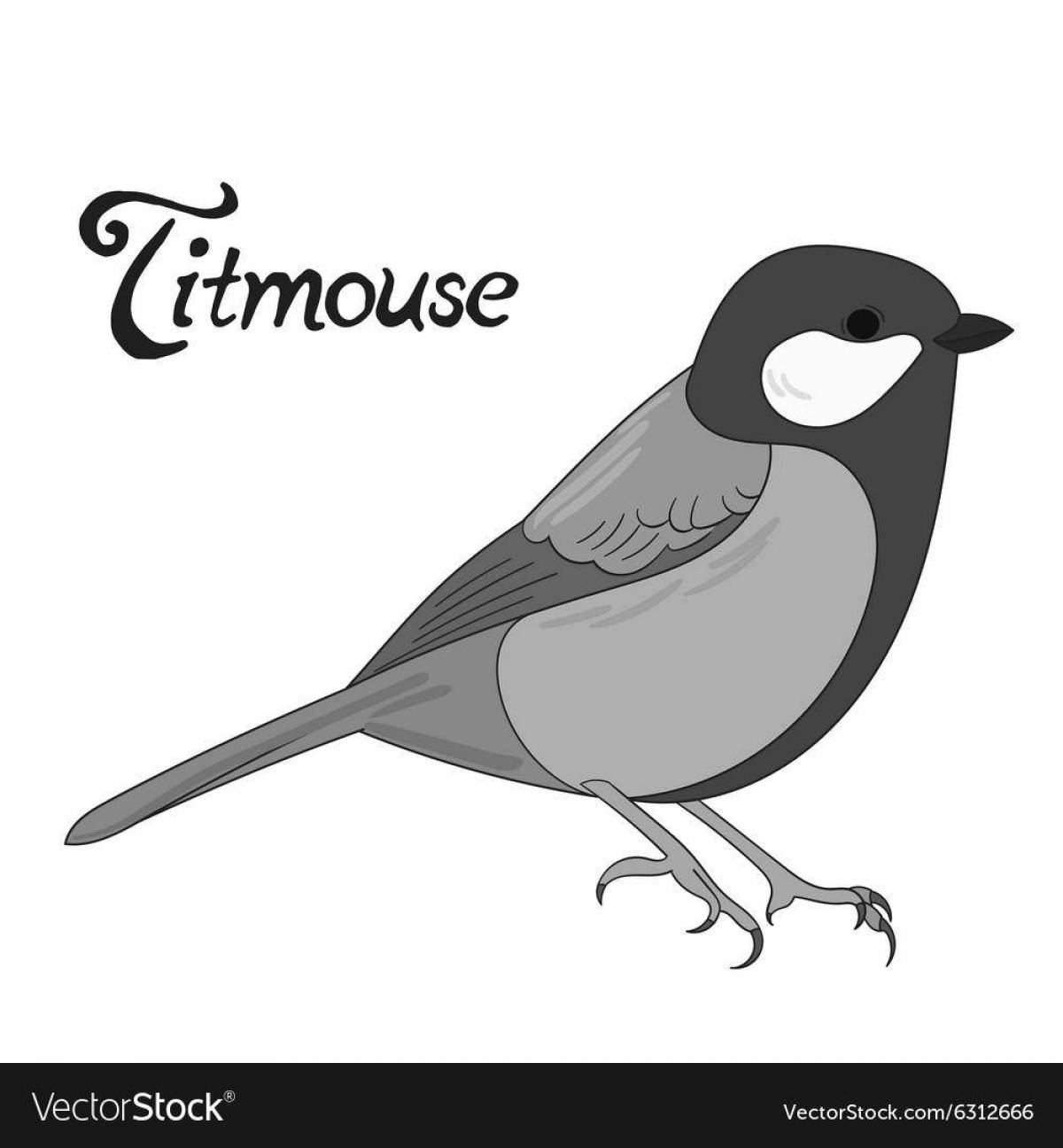 Coloured titmouse coloring