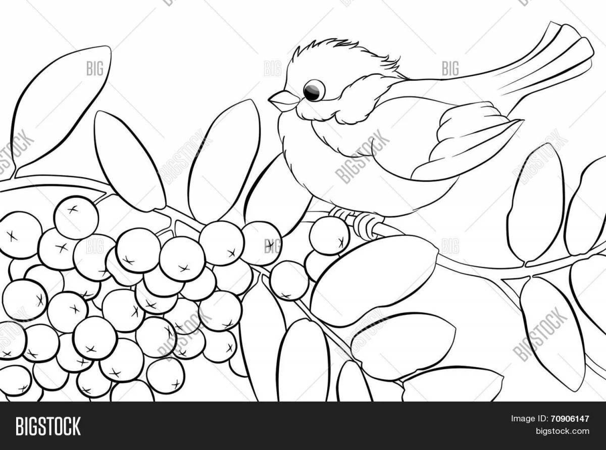 Animated tit coloring page