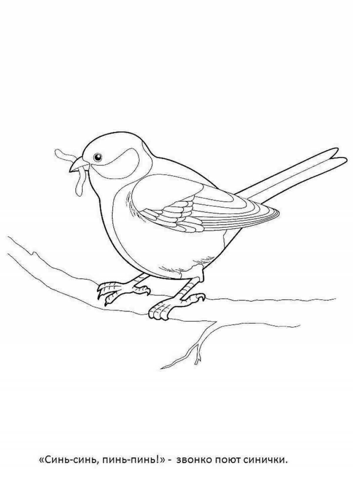 Coloring book cheerfully painted titmouse