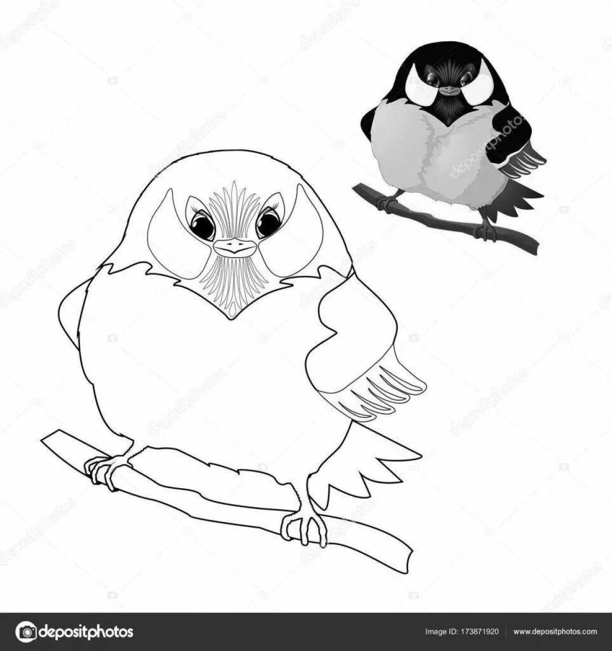 Live coloring titmouse