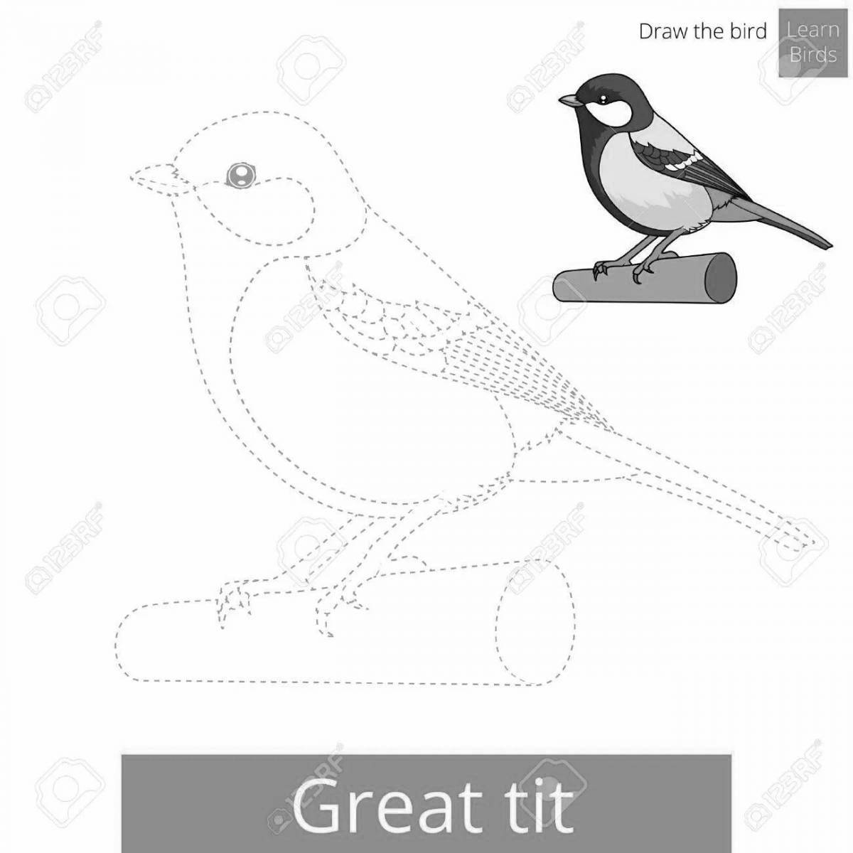 Coloring book elegantly colored titmouse