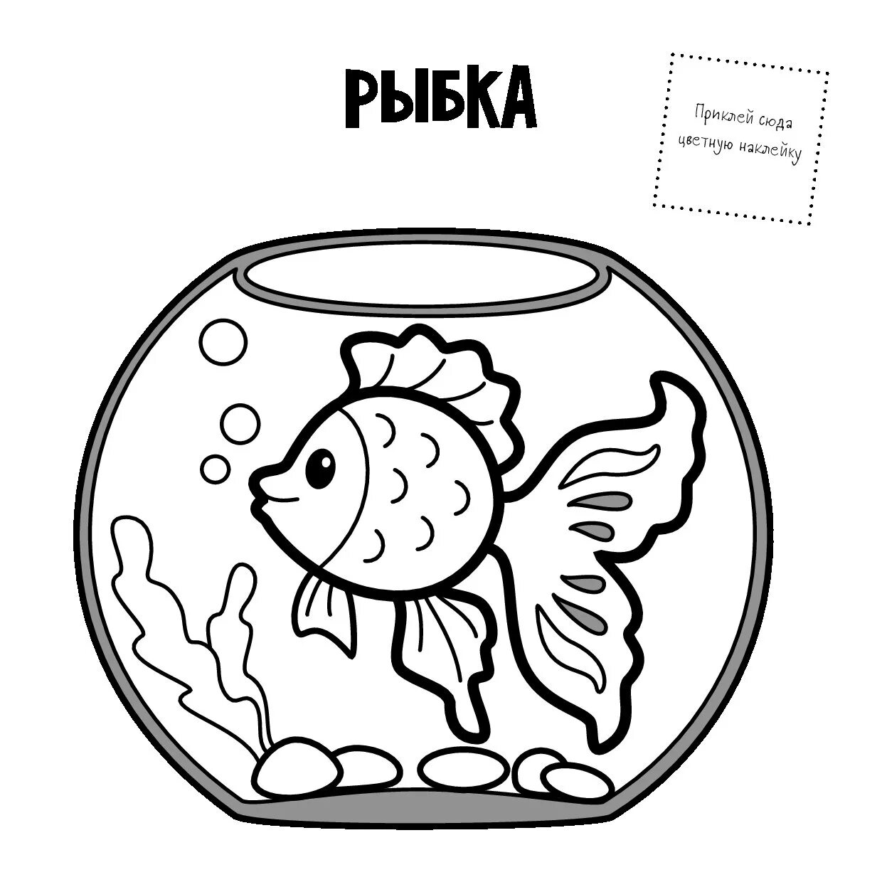 Calm Aquarium Round Coloring Page