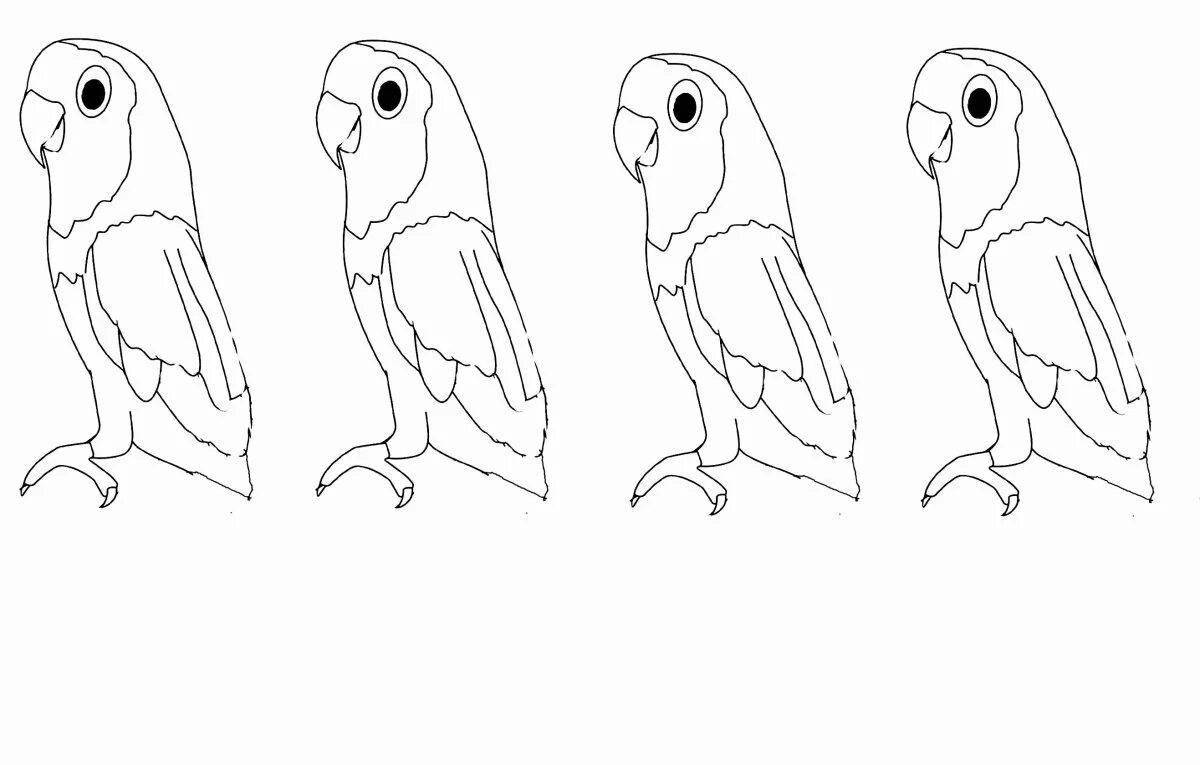 Great parrot coloring book