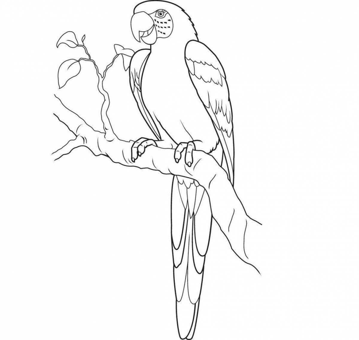 Brightly colored parrot coloring page