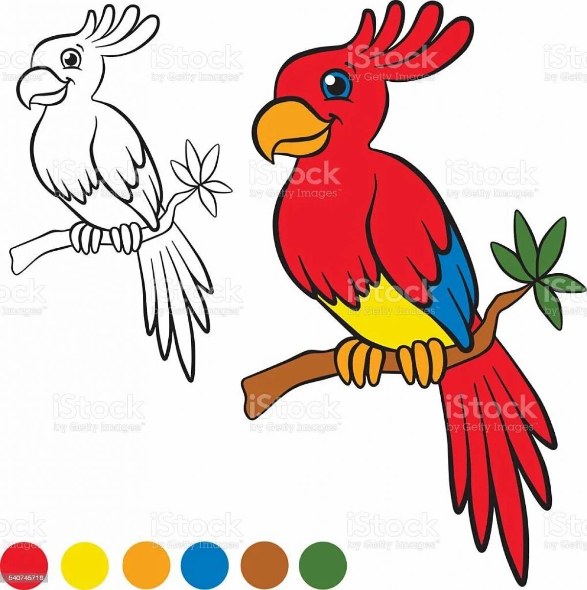Coloured parrot #14