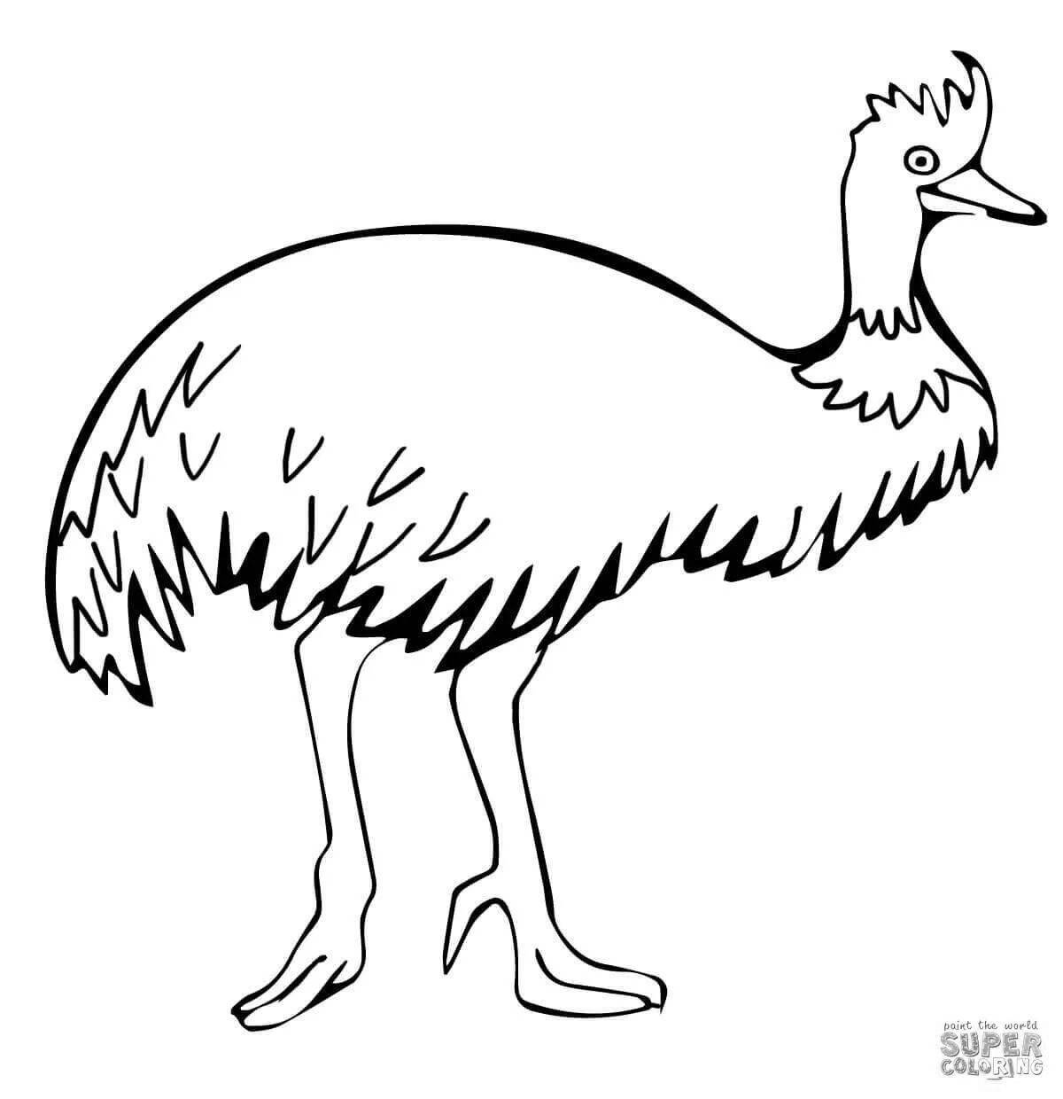 Fancy coloring emu ostrich