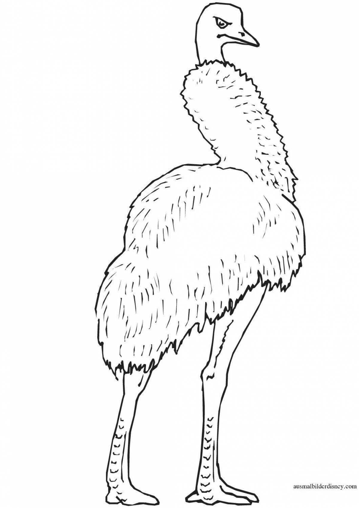 Amazing emu coloring book