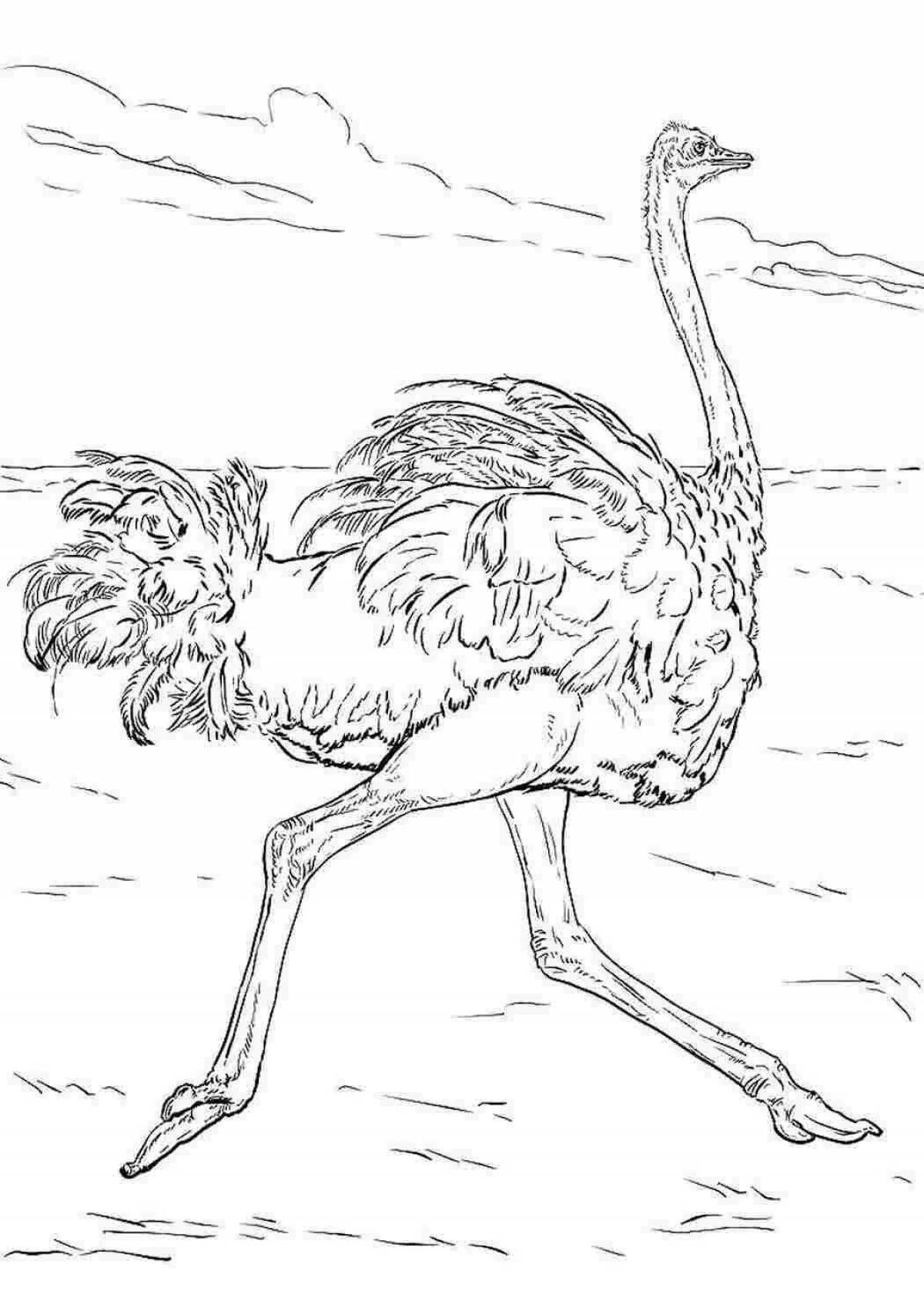 Выдающаяся раскраска страуса эму