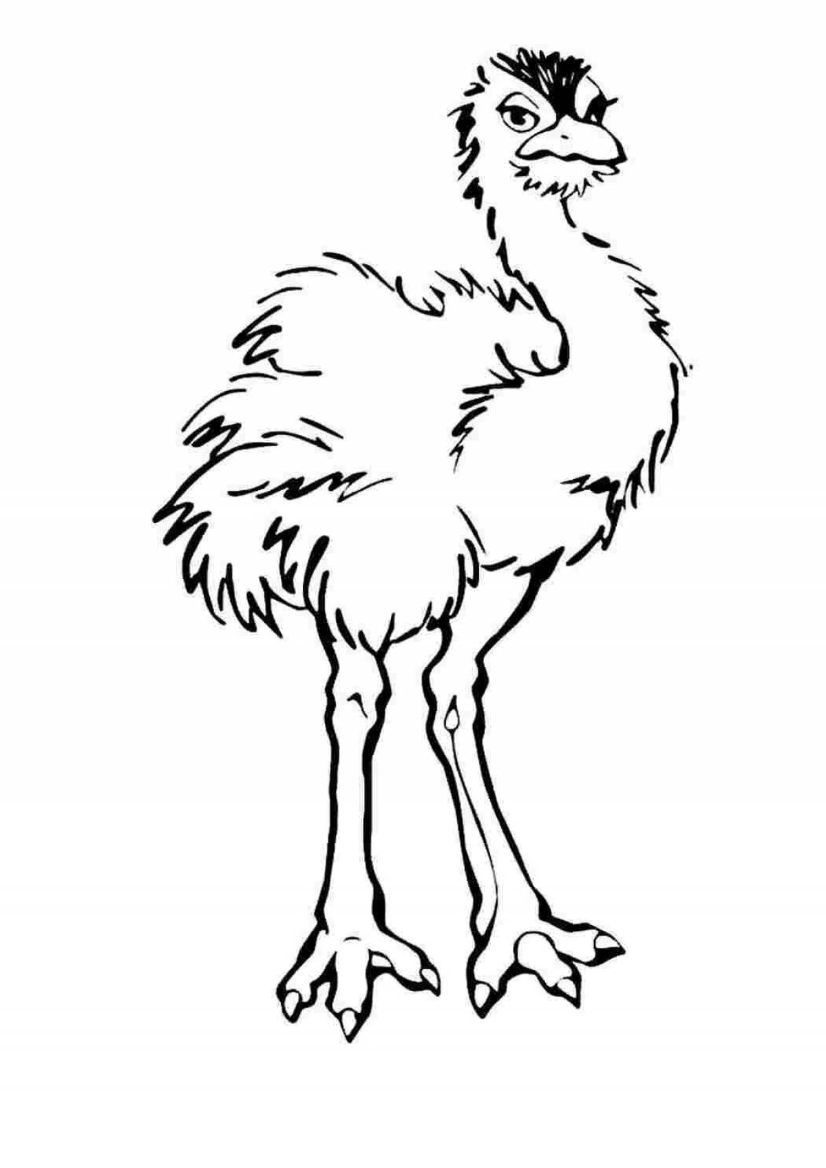 Exciting emu ostrich coloring book