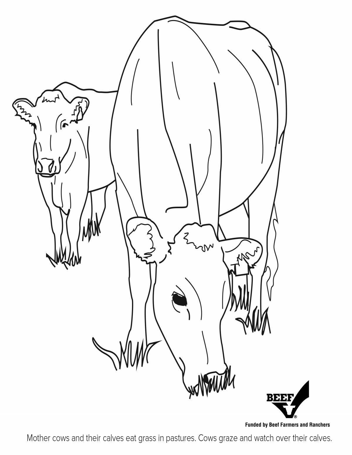 Coloring book with bright cow print