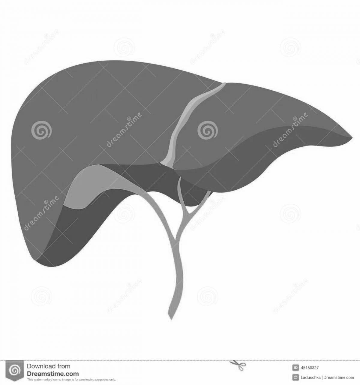 Complex coloring human liver