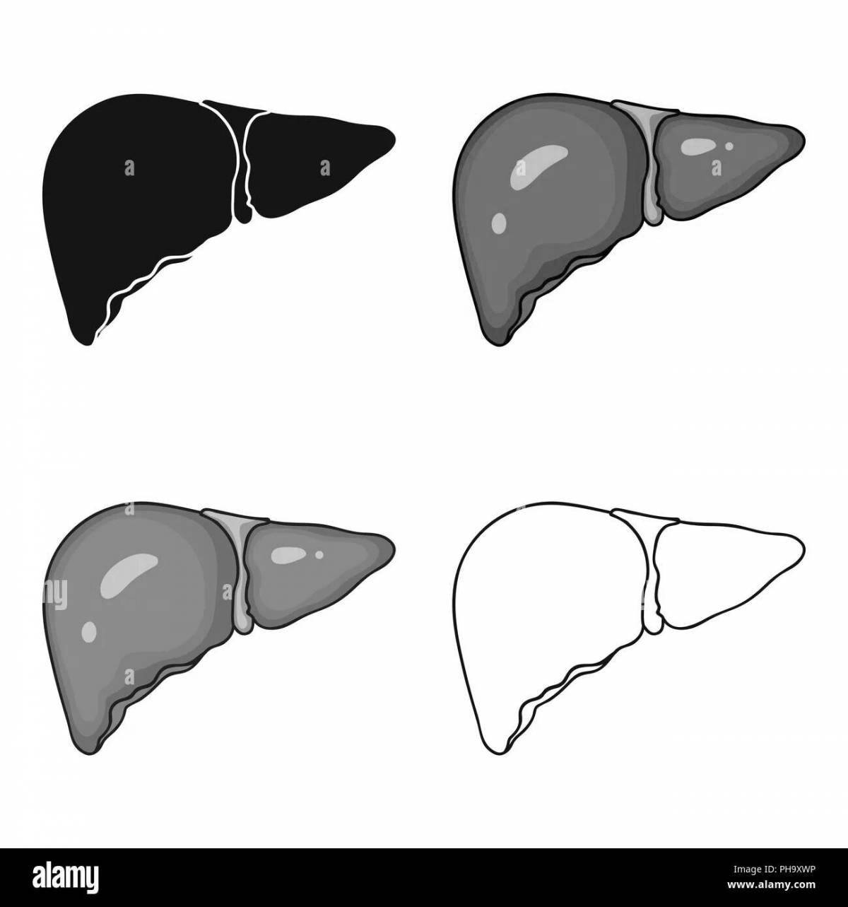 Unique human liver coloring page