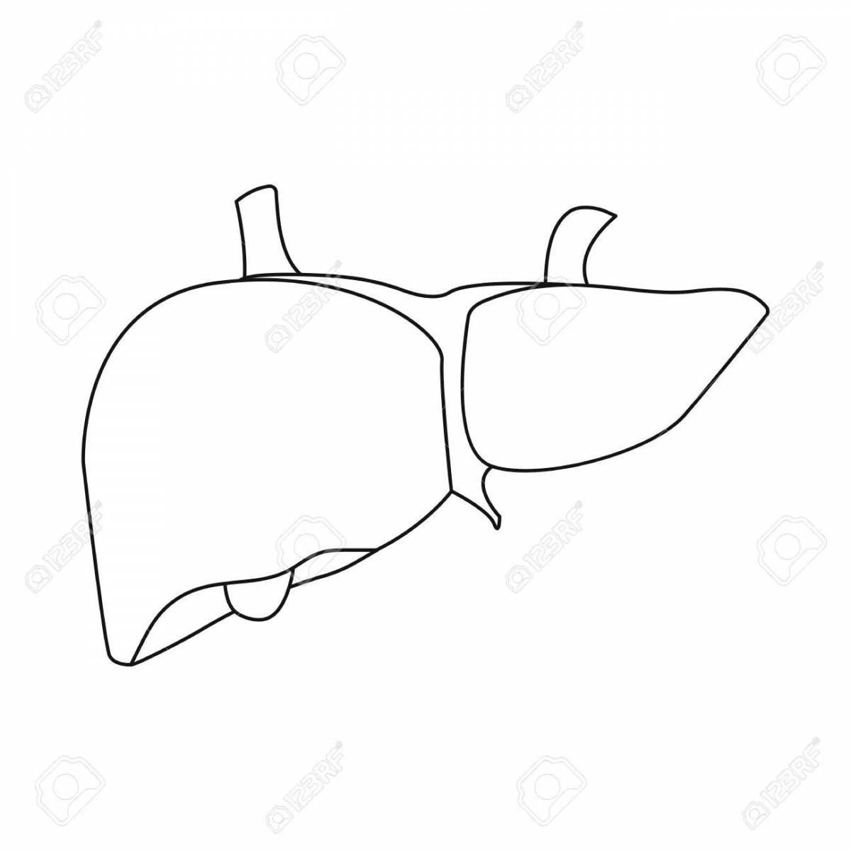 Intriguing human liver coloring book