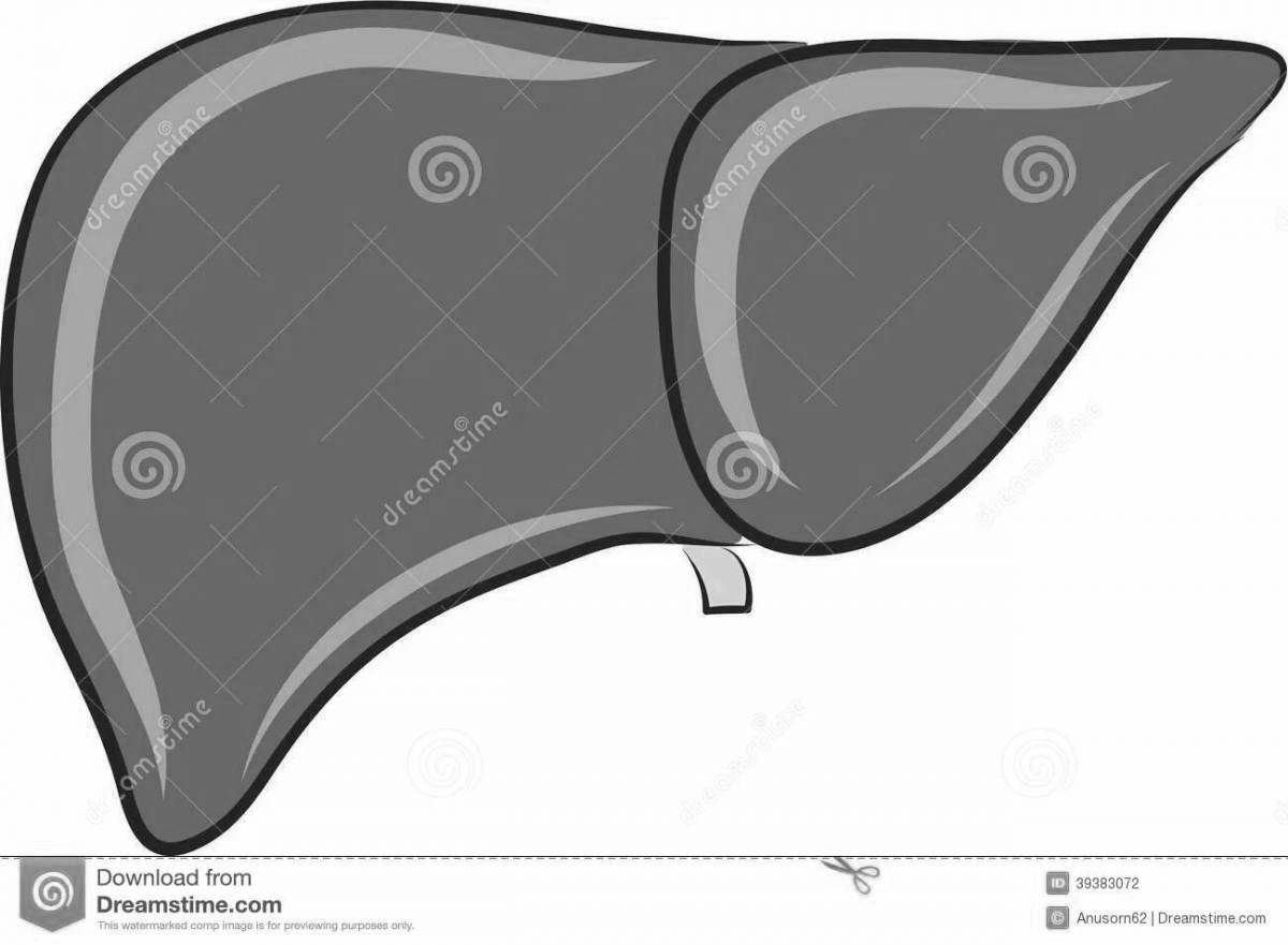 Clear human liver coloring page