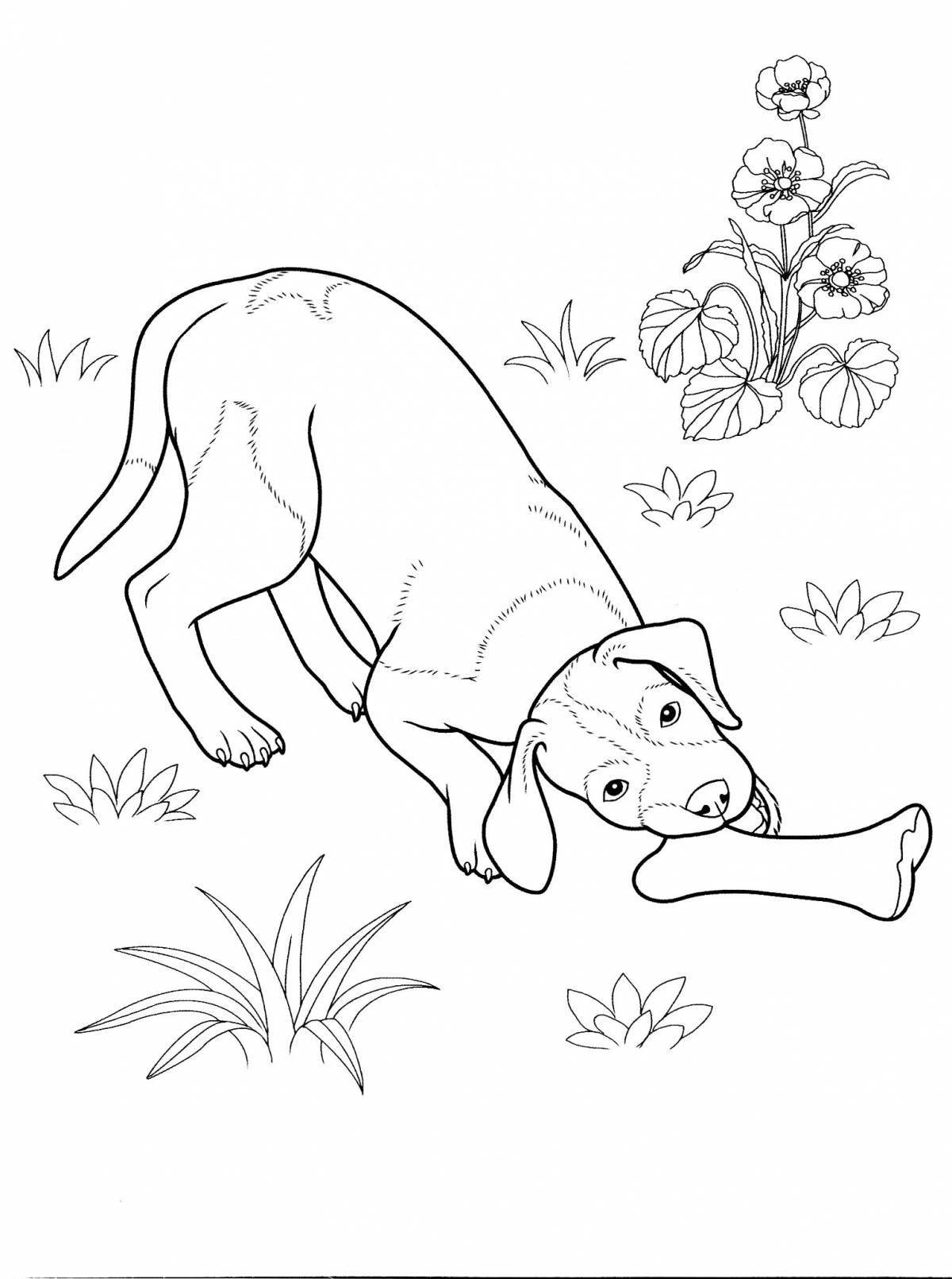 Fairy coloring pages attached to stories for children