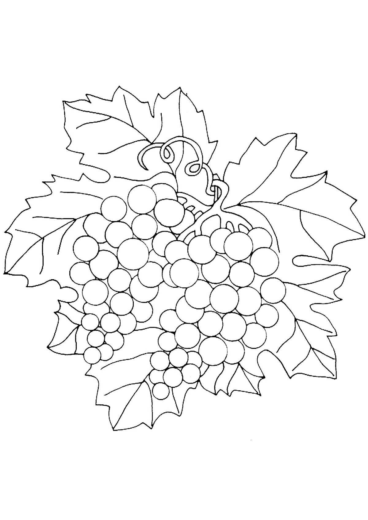 Раскраска Виноградная гроздь