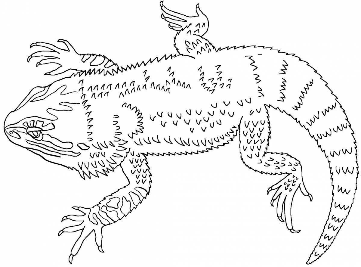 Animated Bearded Dragon Coloring Page