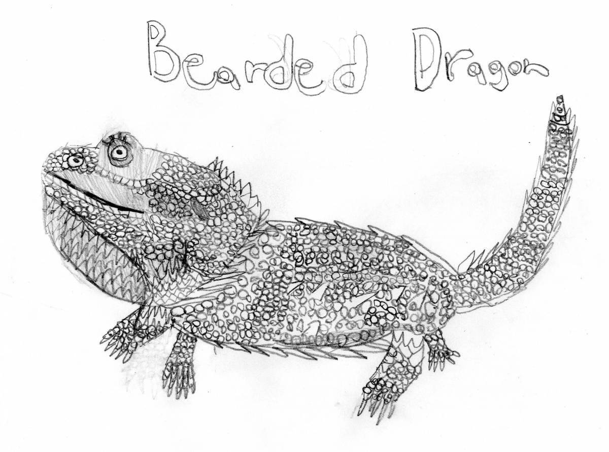 Charming bearded dragon coloring book