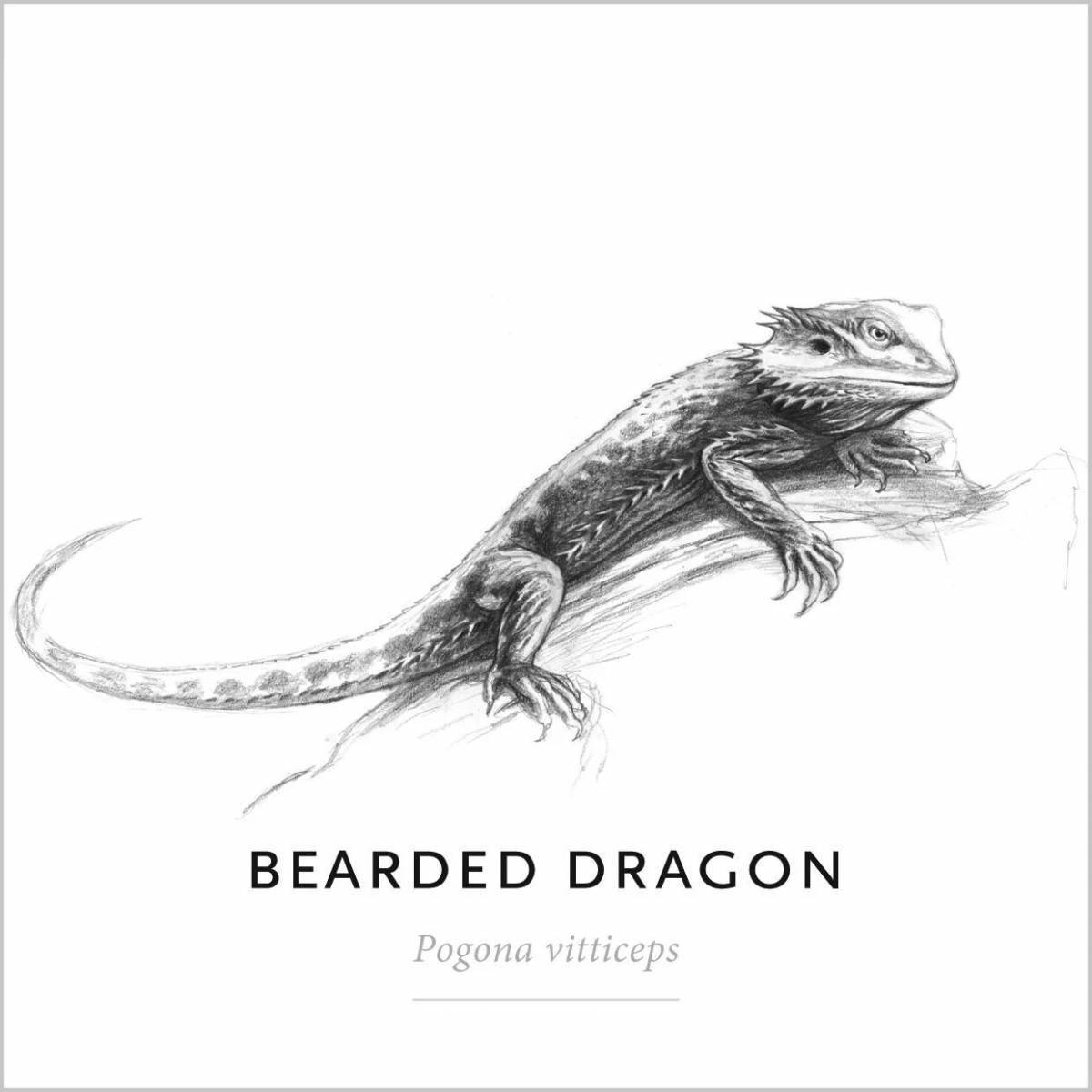 Coloring page mysterious bearded dragon