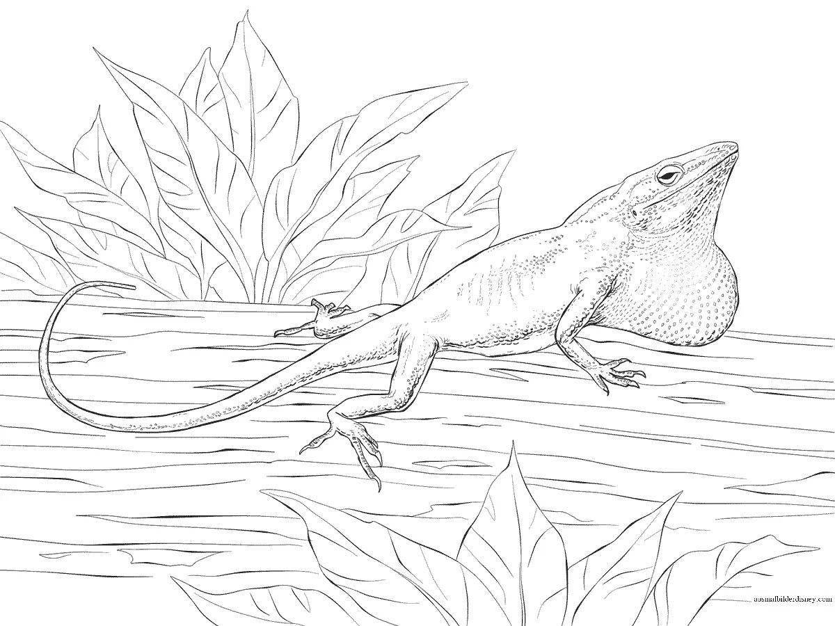 Coloring book beckoning bearded dragon