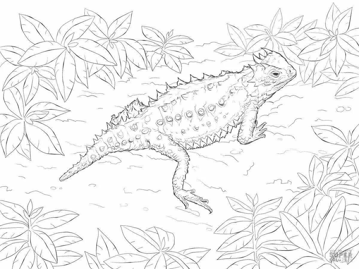 Coloring book charming bearded dragon