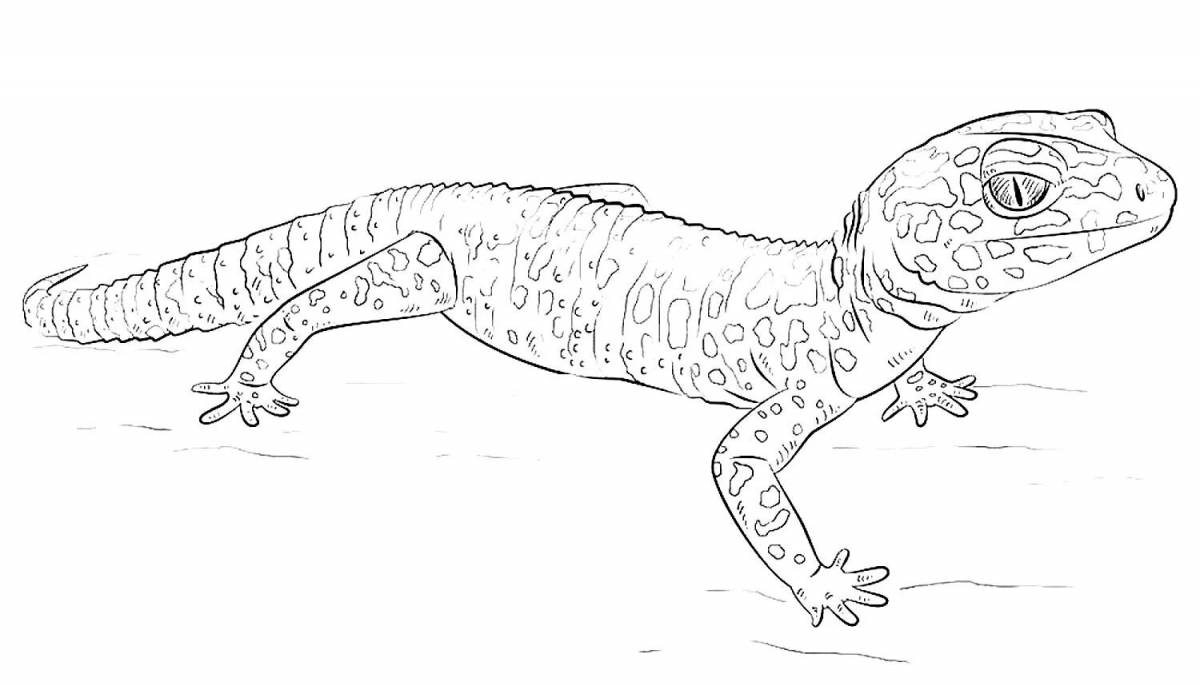 Coloring book gorgeous bearded dragon