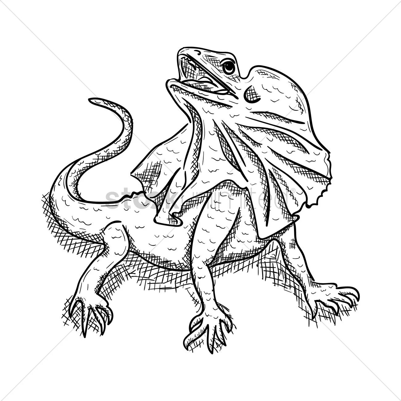 Coloring book elegant bearded dragon