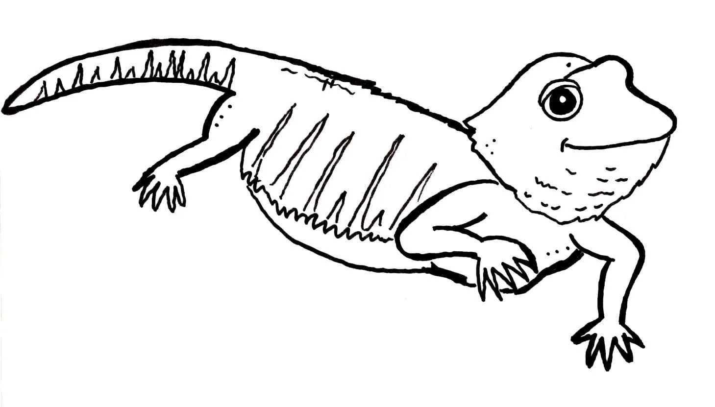 Coloring page graceful bearded dragon