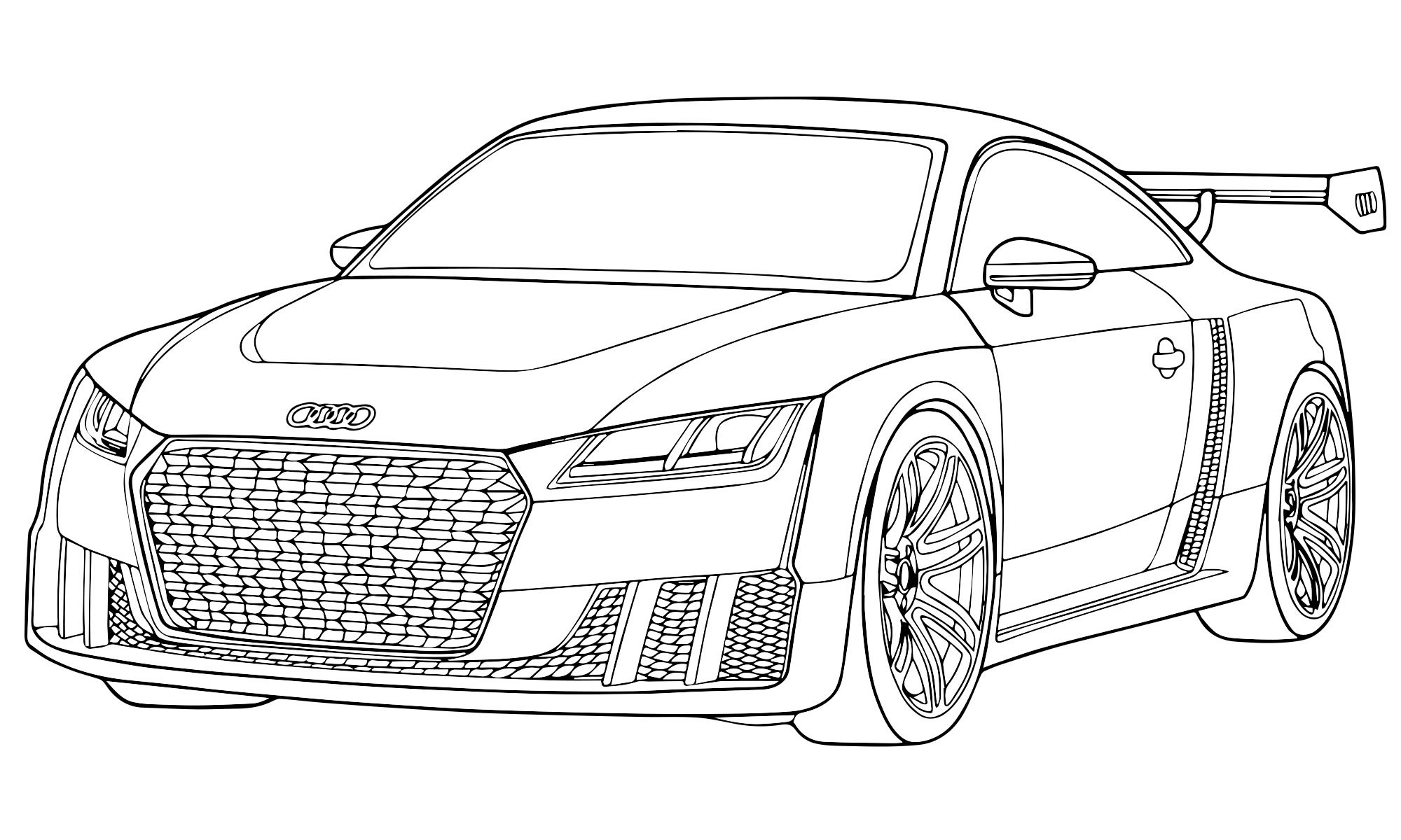 Audi sport #3