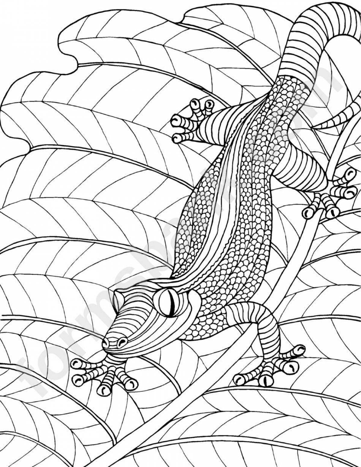 Colouring serene crocodile antistress