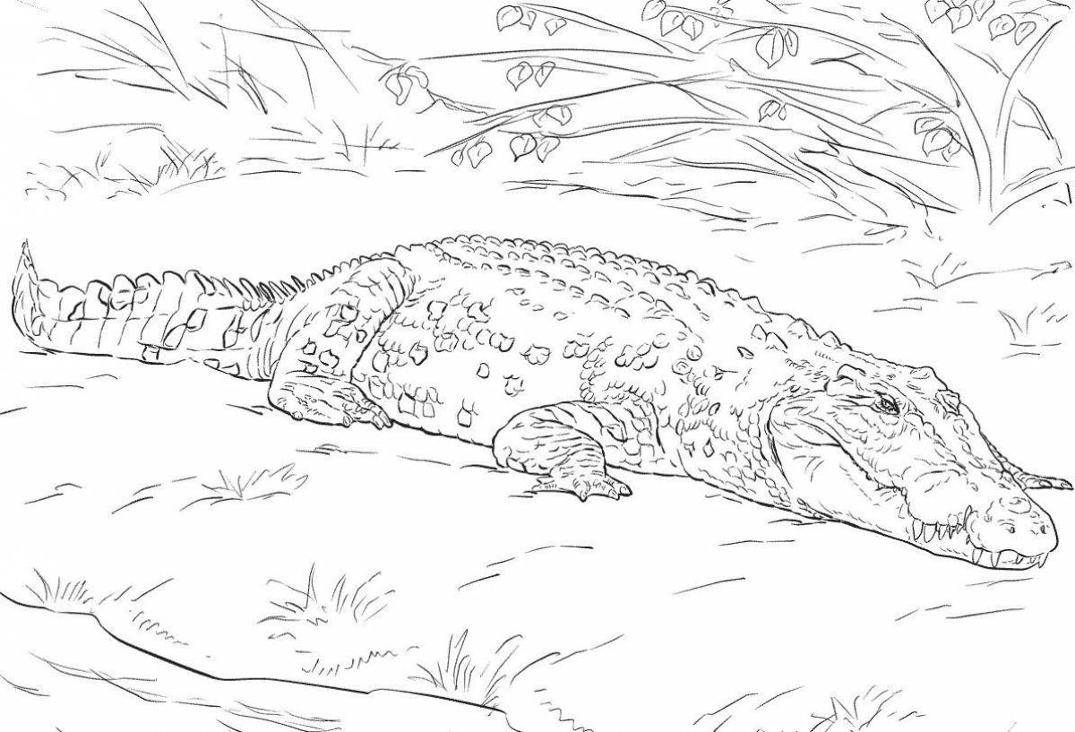 Раскраска живой крокодил антистресс