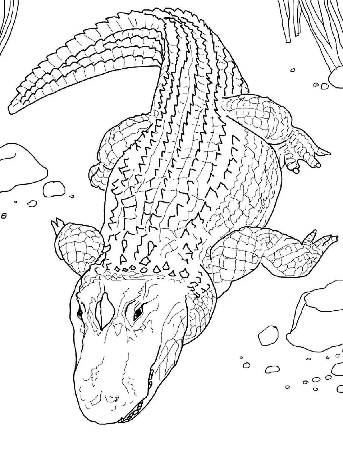 Invigorating coloring crocodile antistress