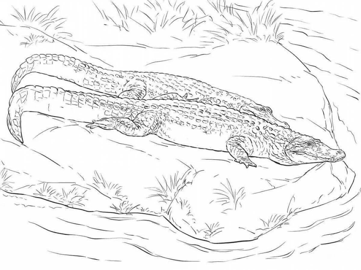 Adorable crocodile anti-stress coloring book
