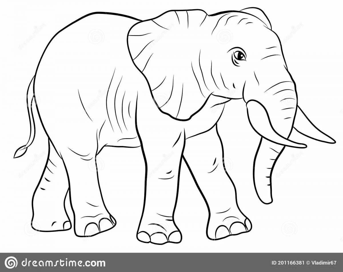 Чудесная раскраска слона