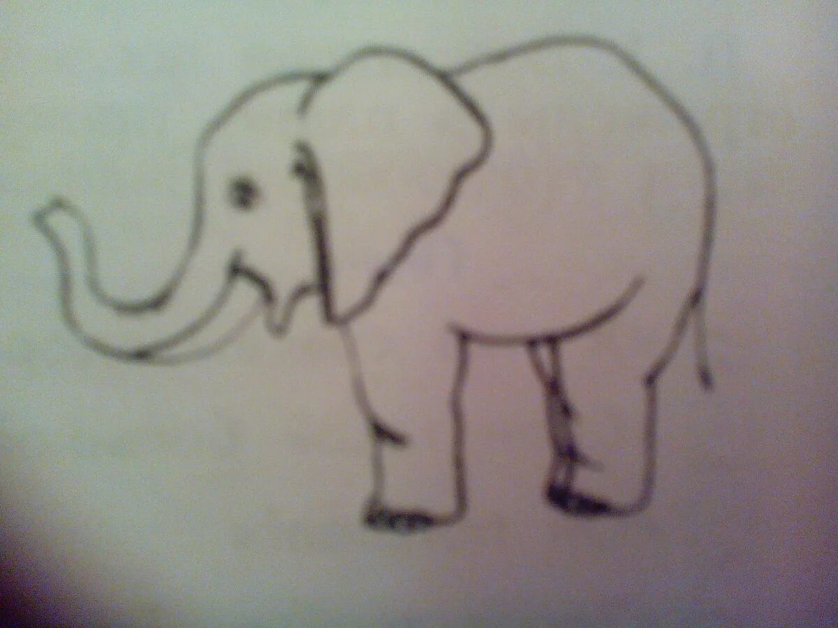 Coloring book shining elephant