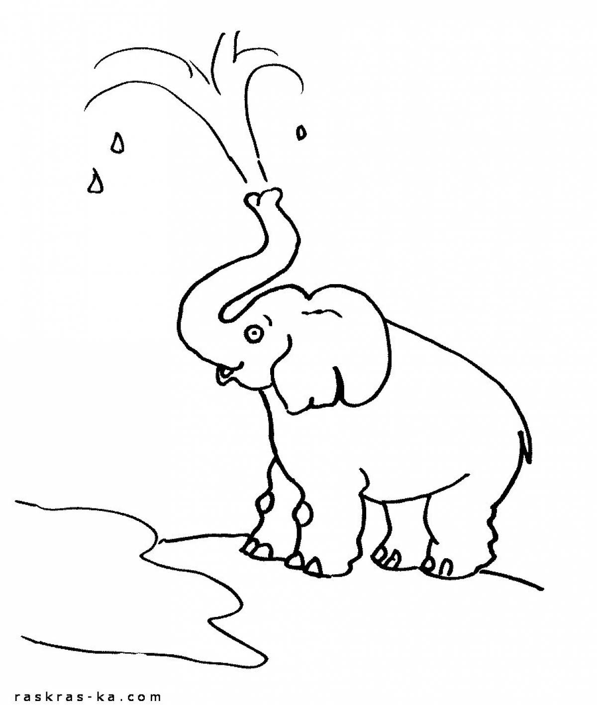 Раскраска царственный слон