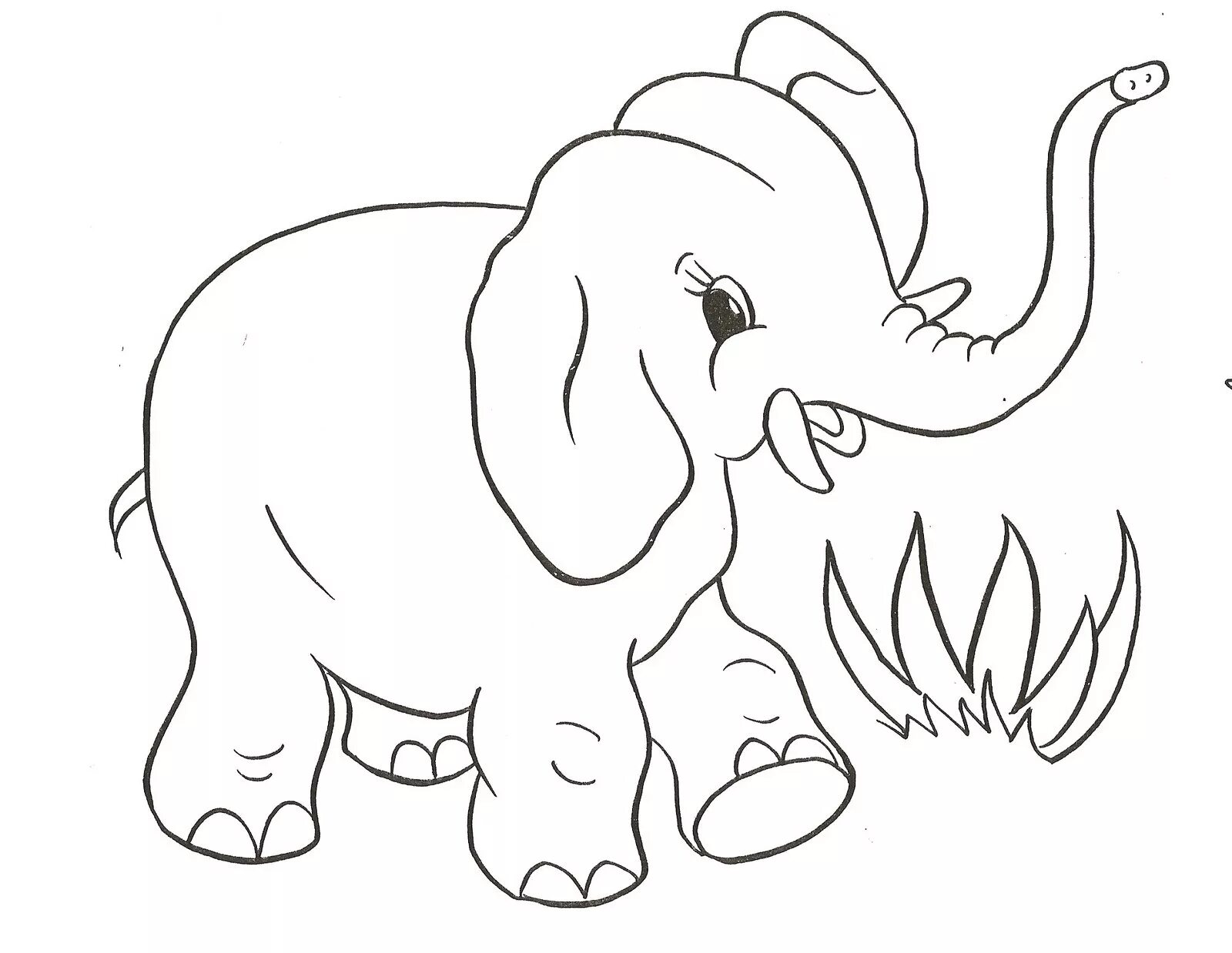 Яркая страница раскраски слонов