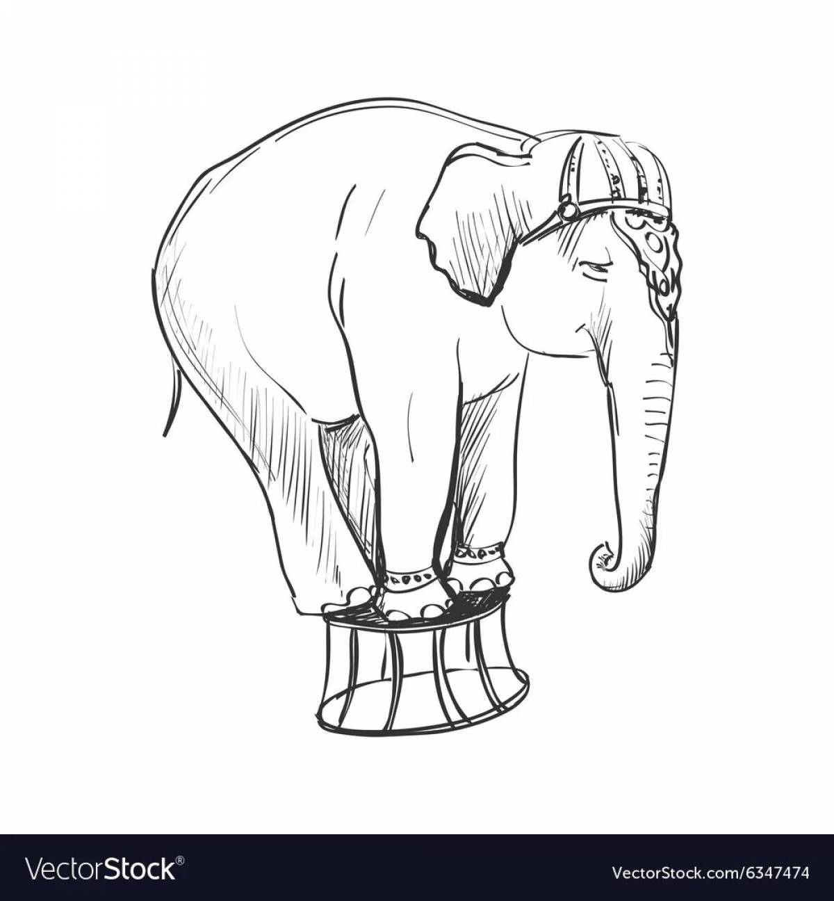 Раскраска энергичный слон