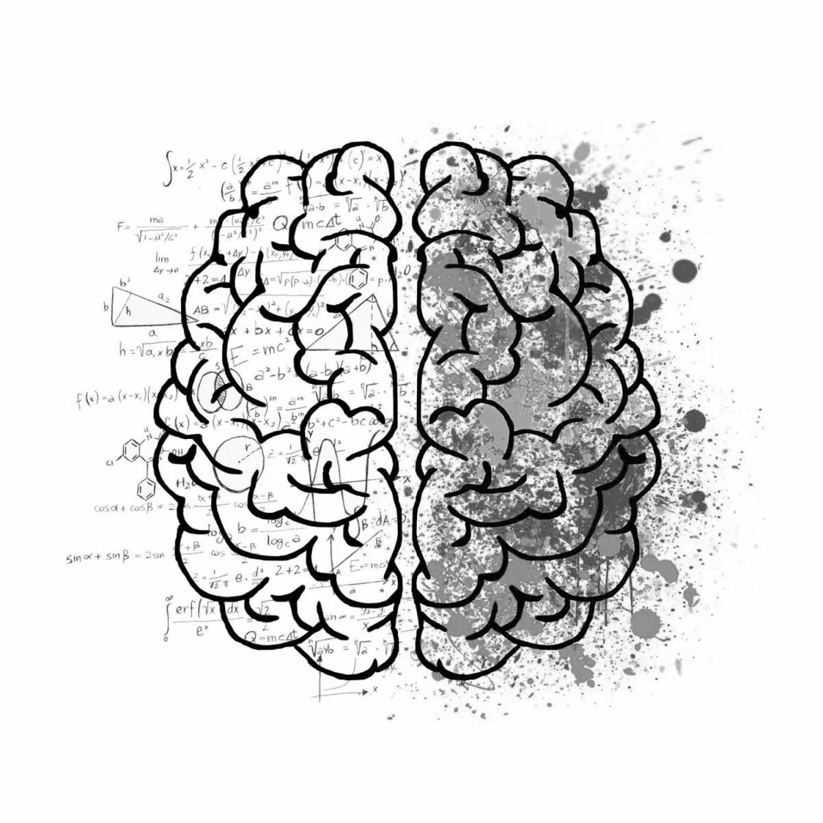 Образовательная раскраска «развитие мозга»