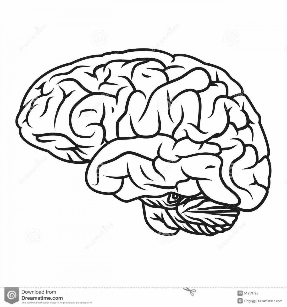 Exciting brain development coloring book