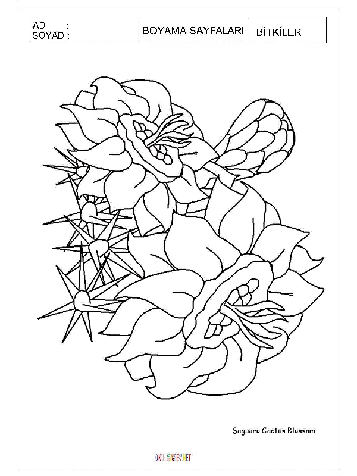Coloring page amazing stone flower bazhov